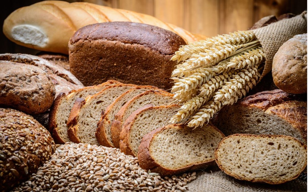 Bloss kein Brot für Kinder?
