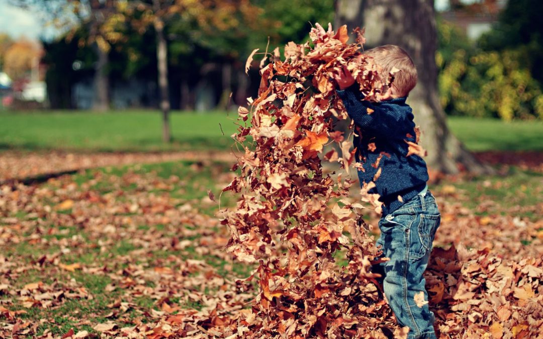Warum und wie Kinder Dreck essen sollten